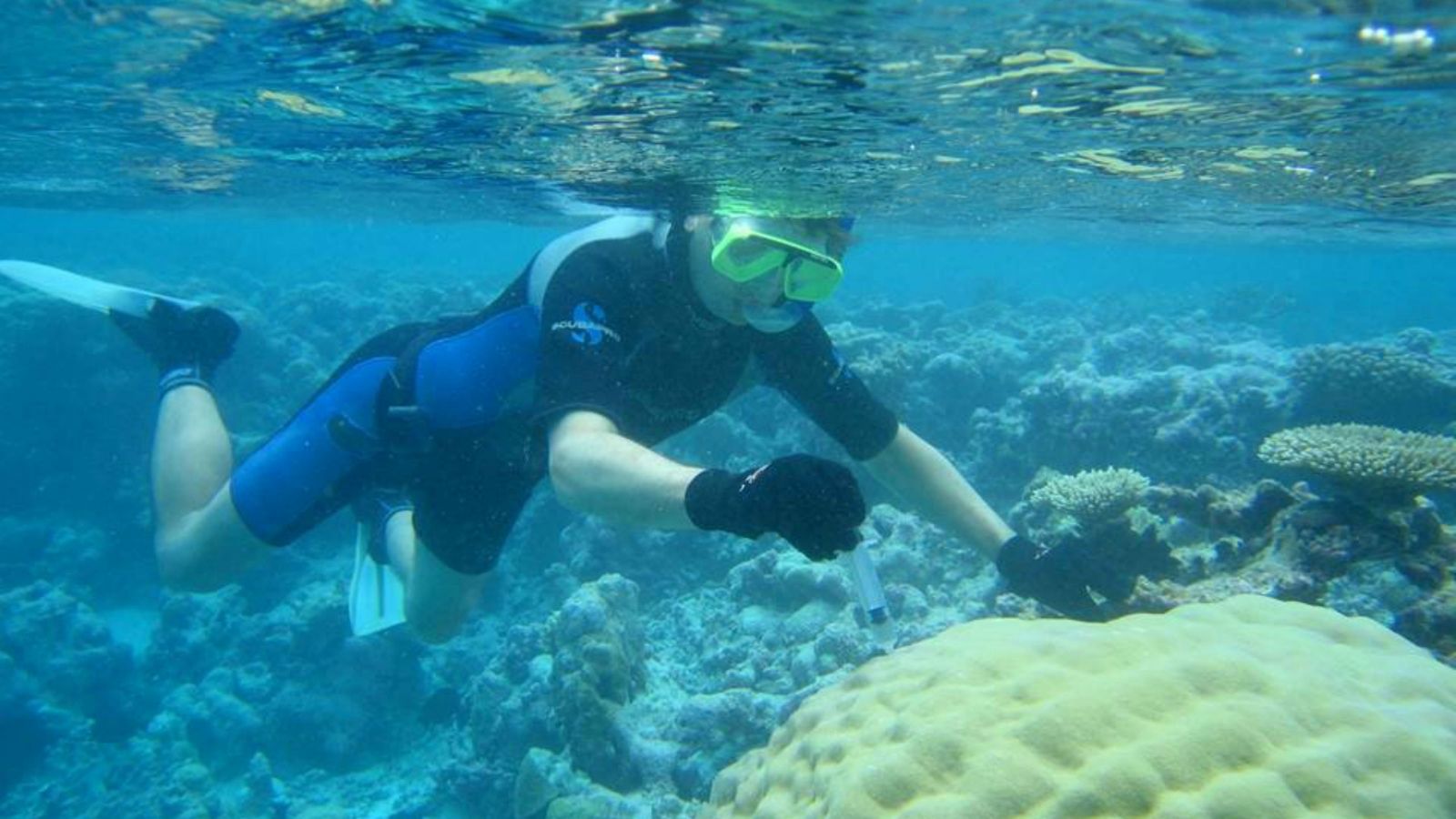 Professor Simon Davy collecting samples of coral underwater 