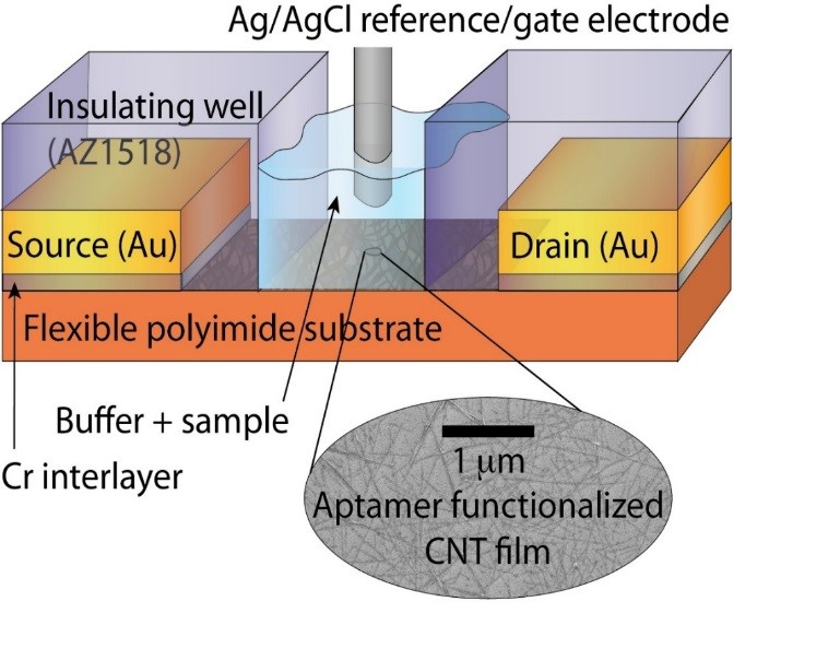 CNT field effect transistor aptasensor