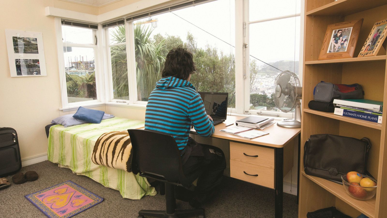 Single bedroom at Uni Hall Whanau. A single bed with a desk overlooking a residential area. A student studies at the desk.