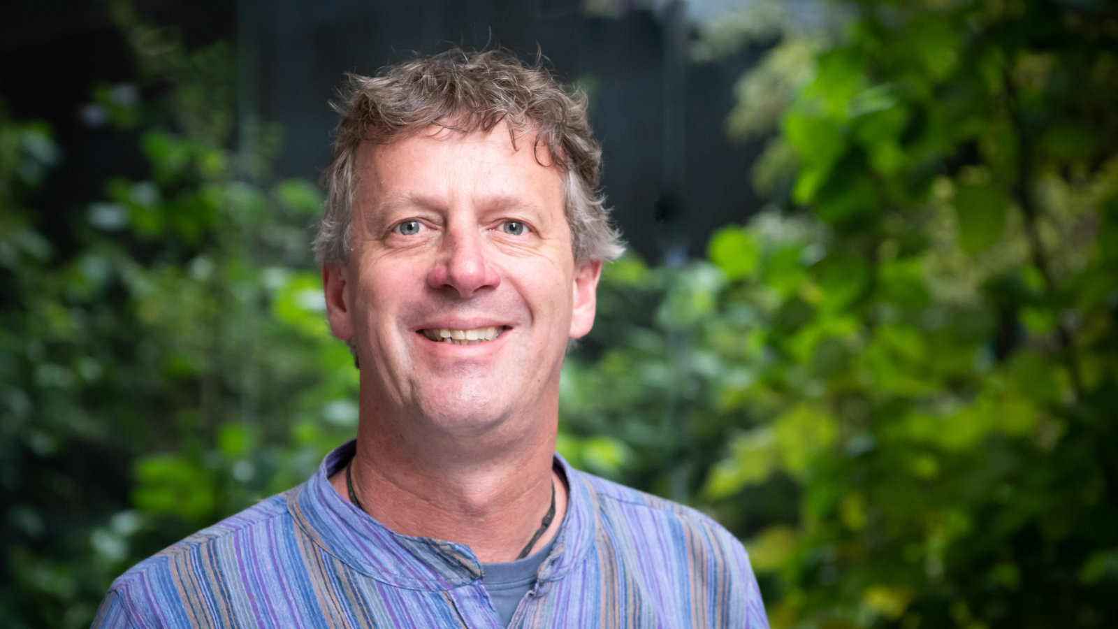 Man with curly grey hair against indistinct greenery background