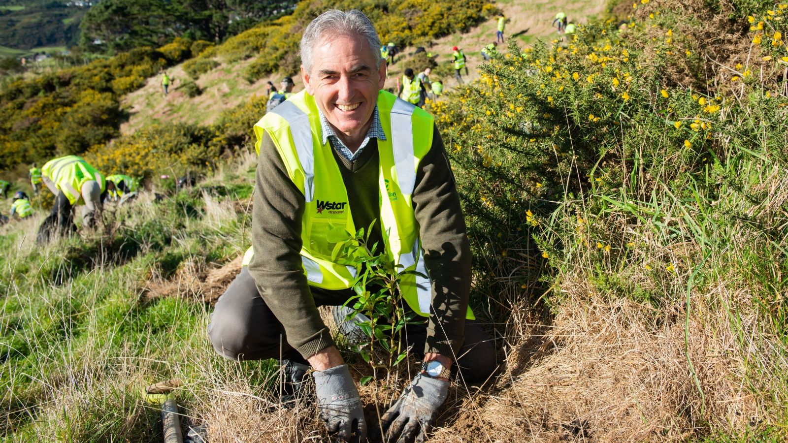 Man with grey hair smiling while putting plant in ground with gorse background