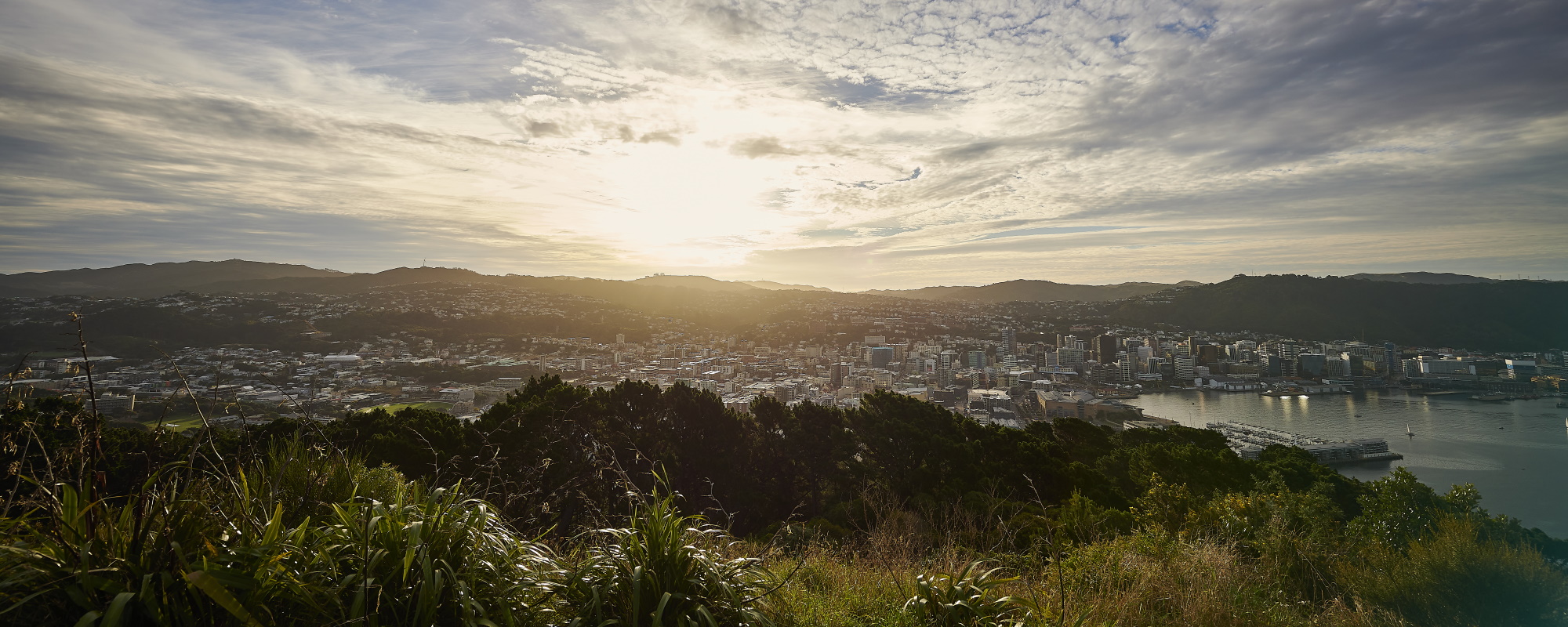 Wellington city skyline
