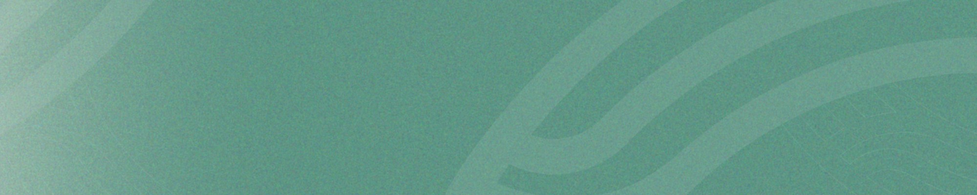 Tangiwai Excellence Scholarship