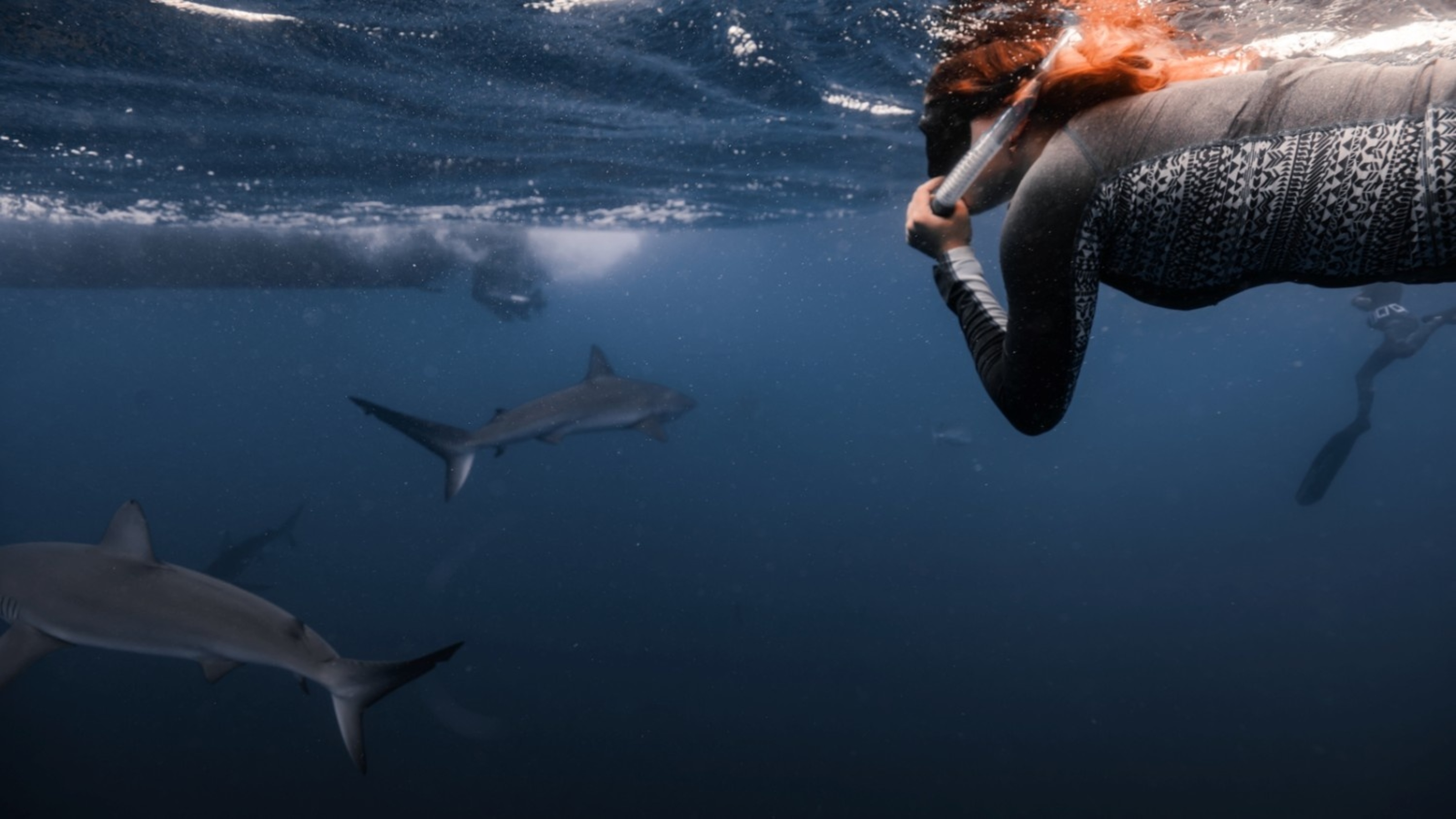 Woman is snorkeling under water with a wetsuit on and you can see sharks swimming around her.