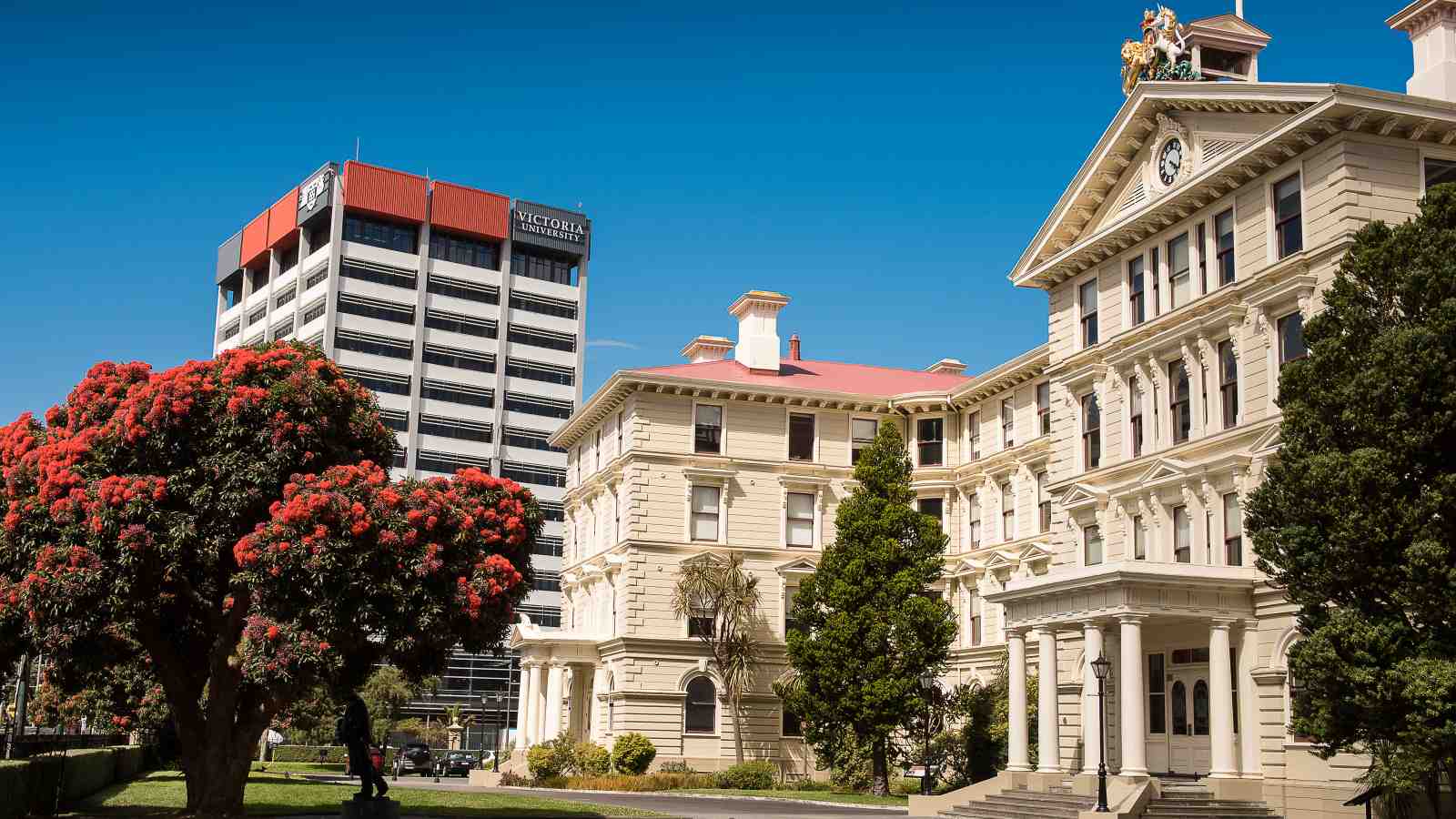 Old Government Buildings on a clear summer's day, with Rutherford House behind and the flame gum tree in full bloom