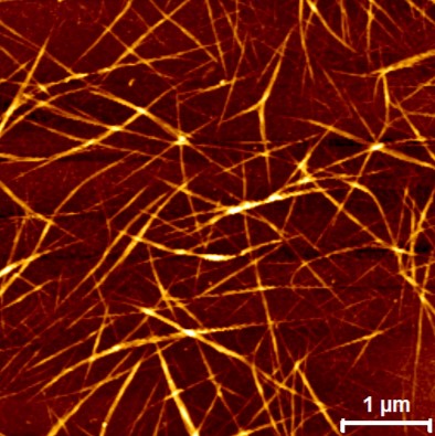 Carbon nanotubes