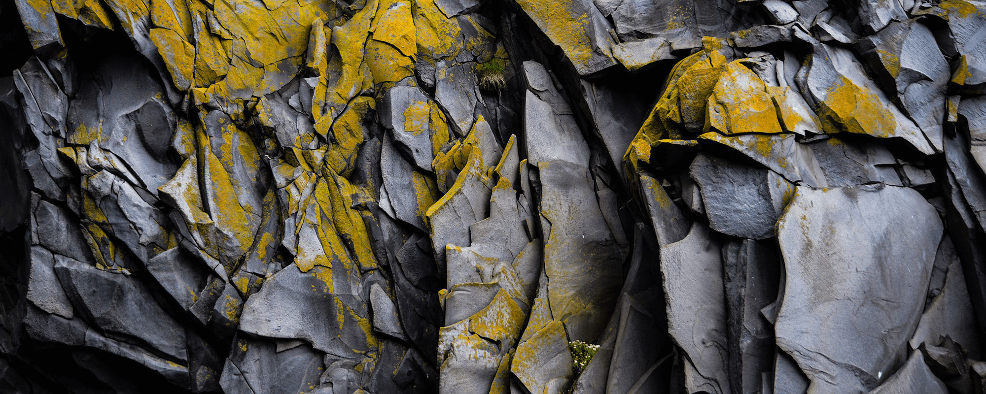 An image of layered rocks with a thin layer of yellow moss.