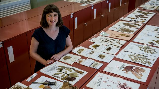 Dr Jessie Prebble stands by a display of presses and labelled leaves.
