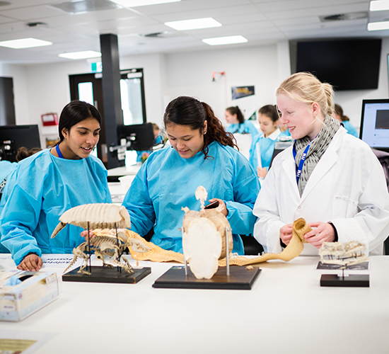 Three young women stand in a lab wearing lab coats and examine animal bones.