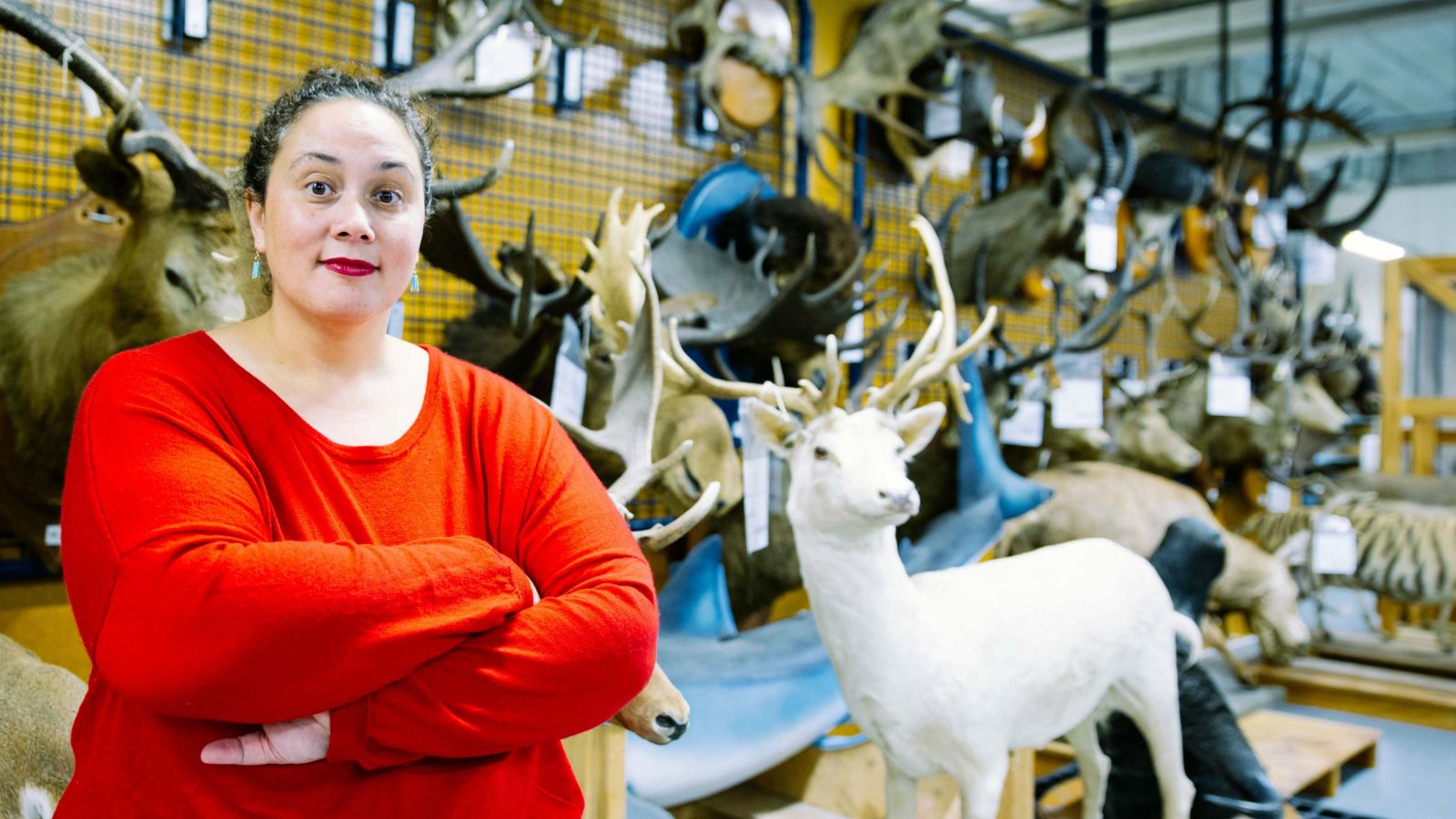 A profile shot of Tui Te Hau.