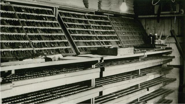 Historic photograph of Growers' composition room