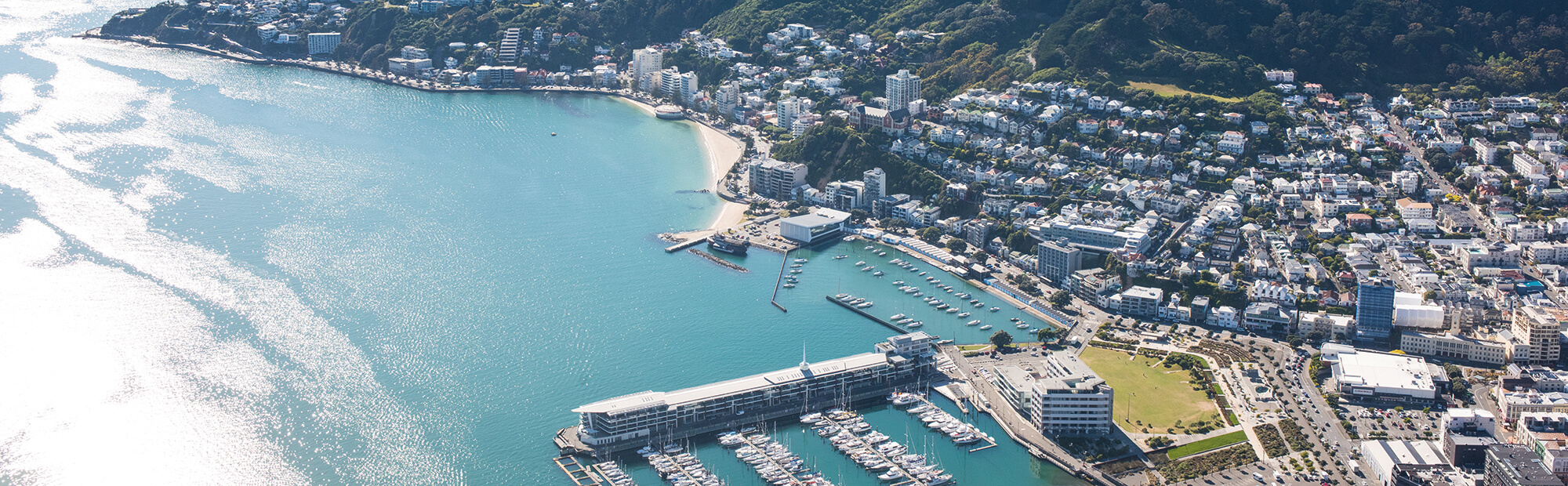 Aerial view of Wellington harbour.