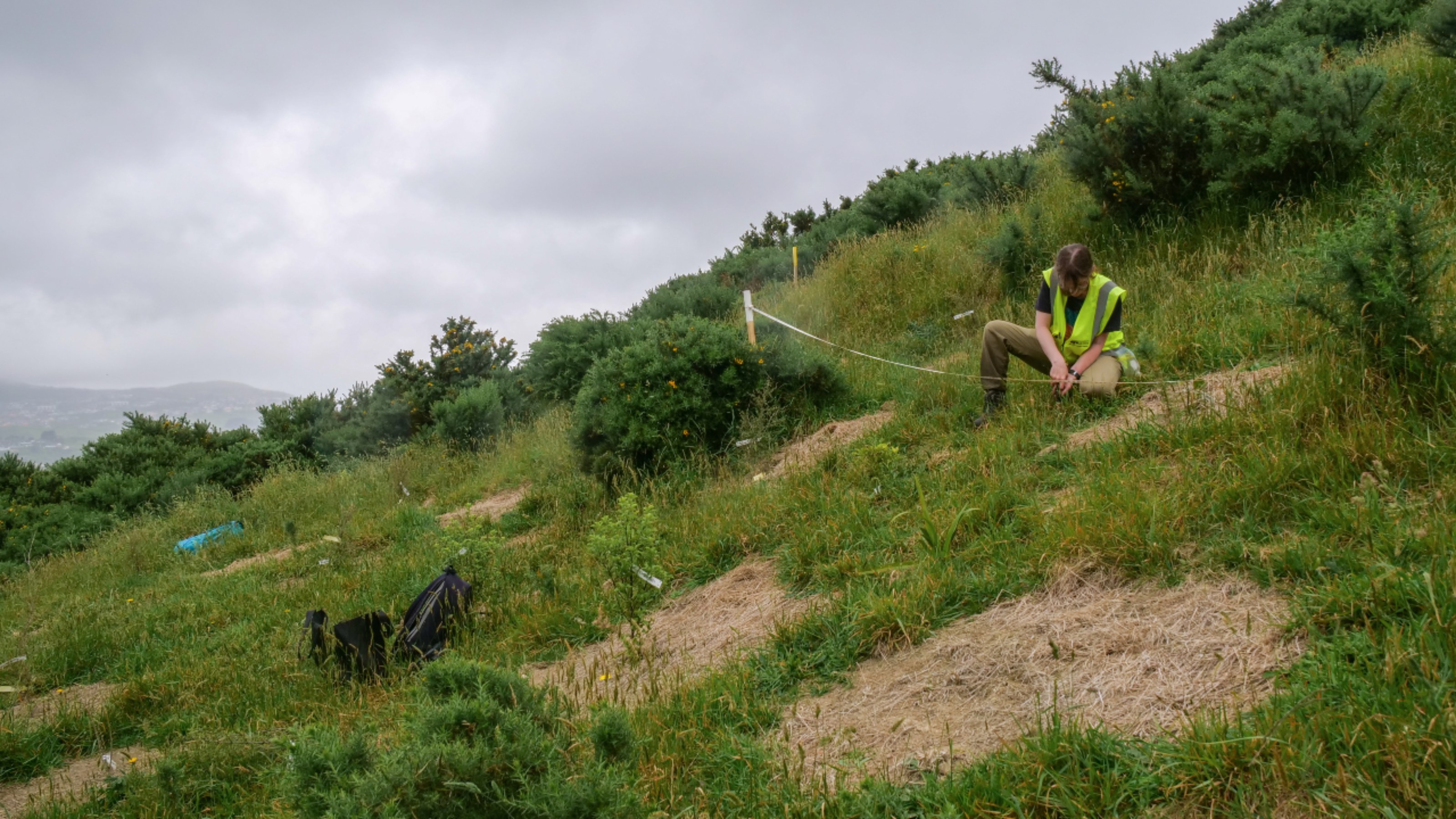 Woman in high-vis vest kneeling on grassy bank