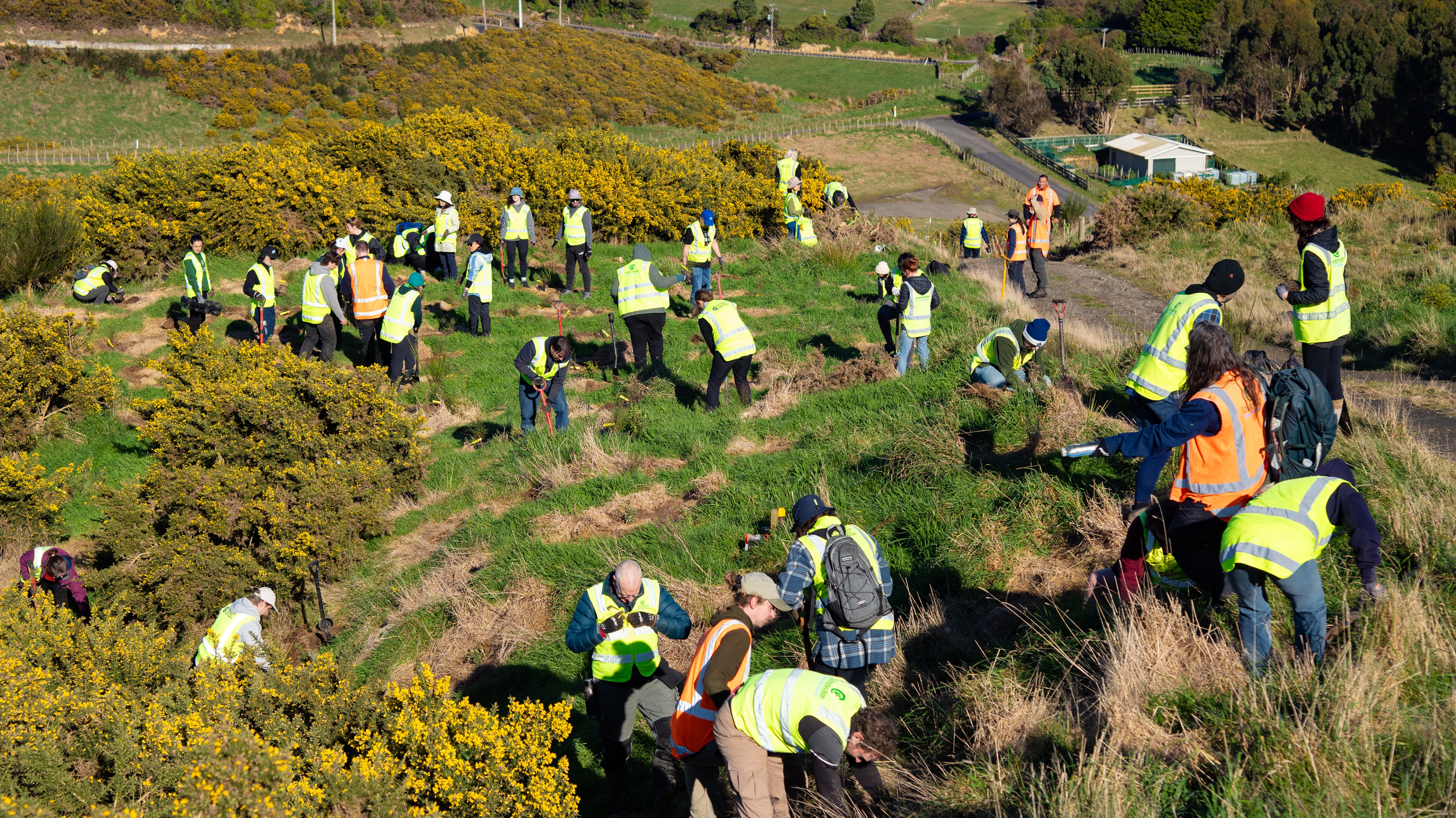 The image features numerous people on a grassy hill wearing high visibility jackets gardening with shovels and some on their hands and knees planting the seedling into the ground.