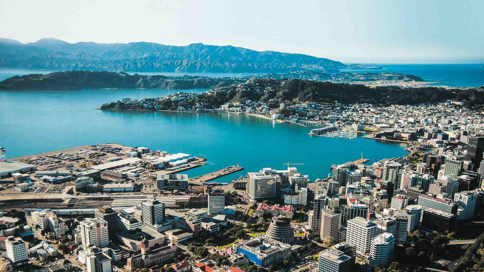 Aerial shot of Wellington CBD