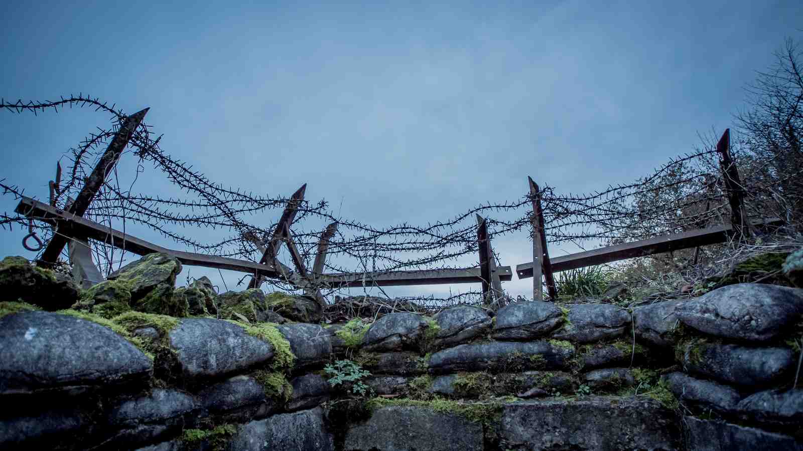 War and Peace battlefield remains in Eastern France. Photo credit: Mathew Knight