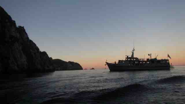 Research vessel in poor knights island.