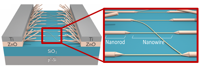 Figure: Schematic of high aspect ratio ZnO nanowires