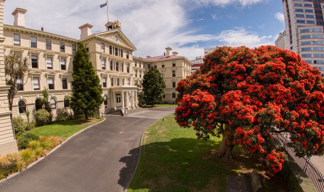 The Law School in summer, an image of the Old Government building with a blossoming red tree in the foreground.