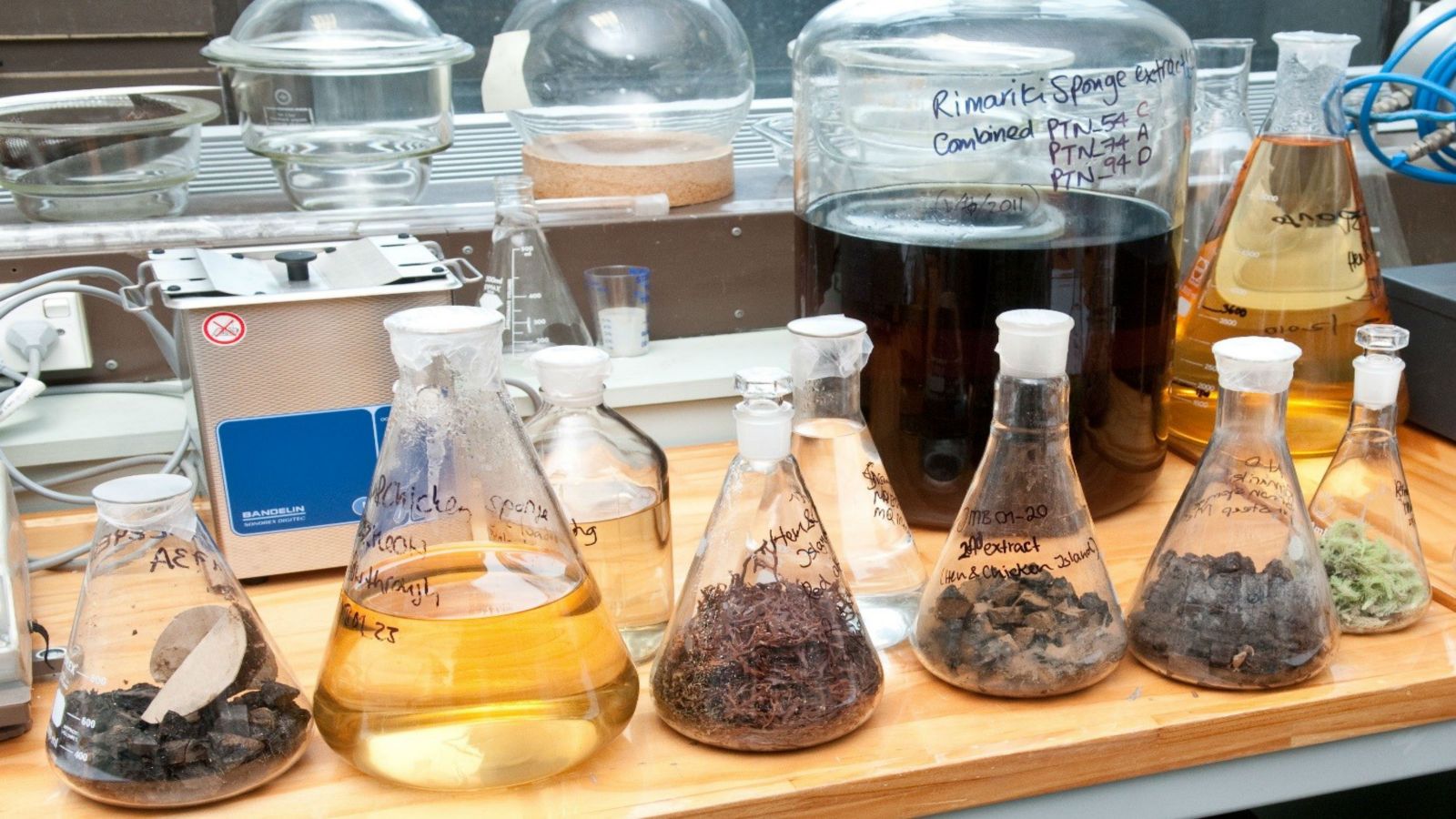 Marine invertebrate extracts. Extracts are screened for medicinal bioactivity using a variety of techniques.