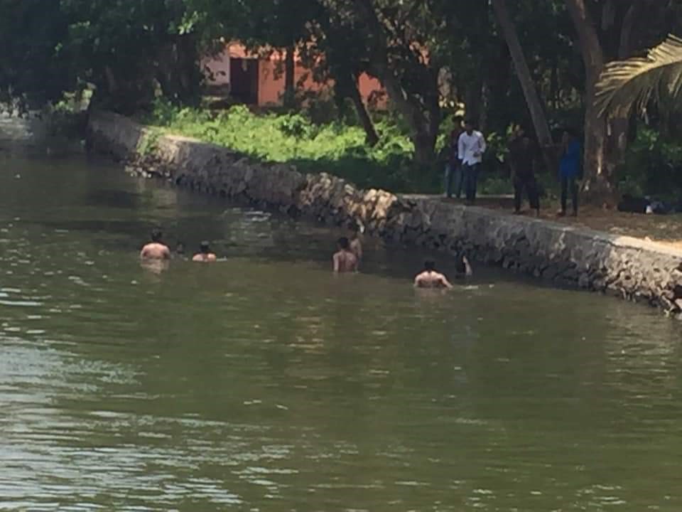 A group of Indian children swim in the Alleppey backwaters.