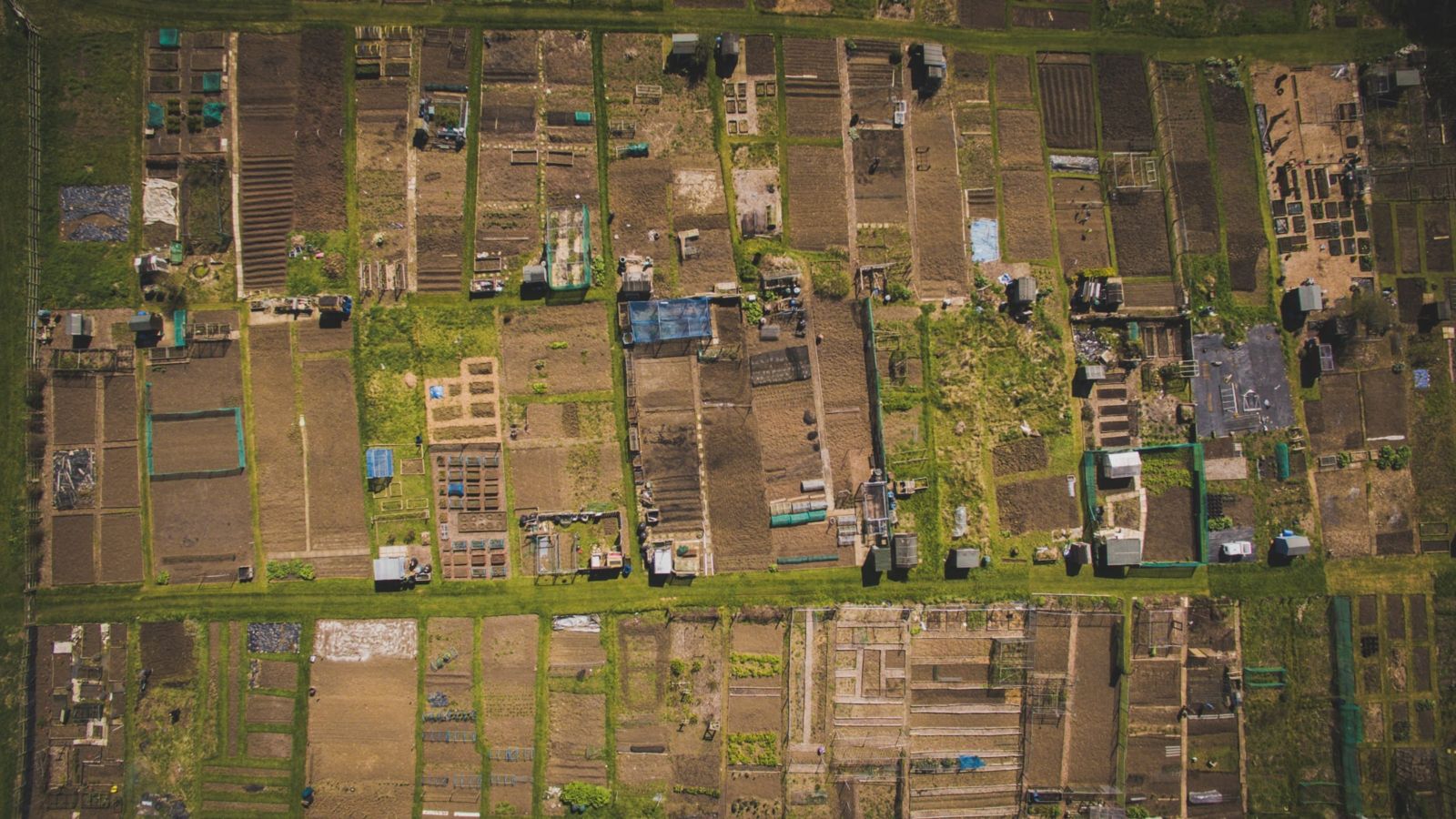 Aerial view of Melton Mowbray, UK, a rural area of England with mostly brown fields in small blocks, Photo: Dan Roizer, Unsplash.