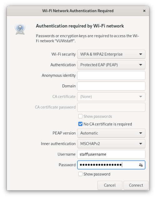 Screenshot of WiFi connection parameters on Linux.