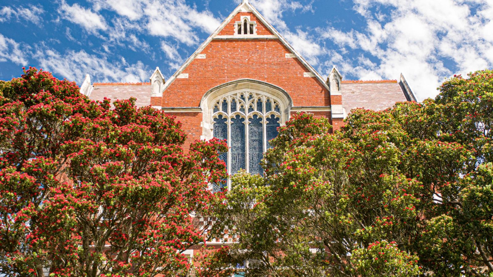 spiritual-care image of the Hunter Building with pohutukawa in bloom