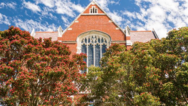 image of the Hunter Building with pohutukawa in bloom
