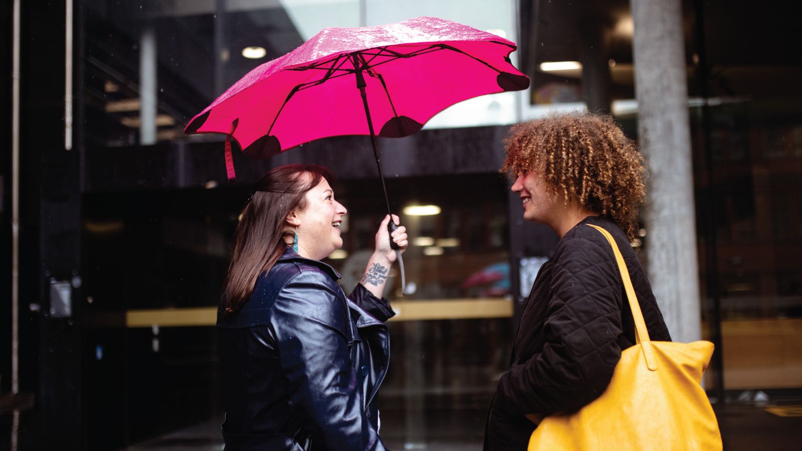 Explore postgraduate study