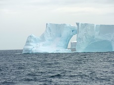 Icebergs floaring in Antarctic Sea.
