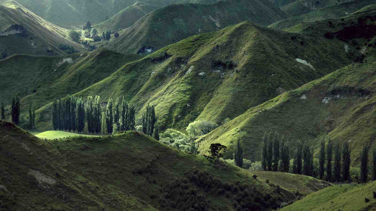 Picture of green New Zealand hills and countryside