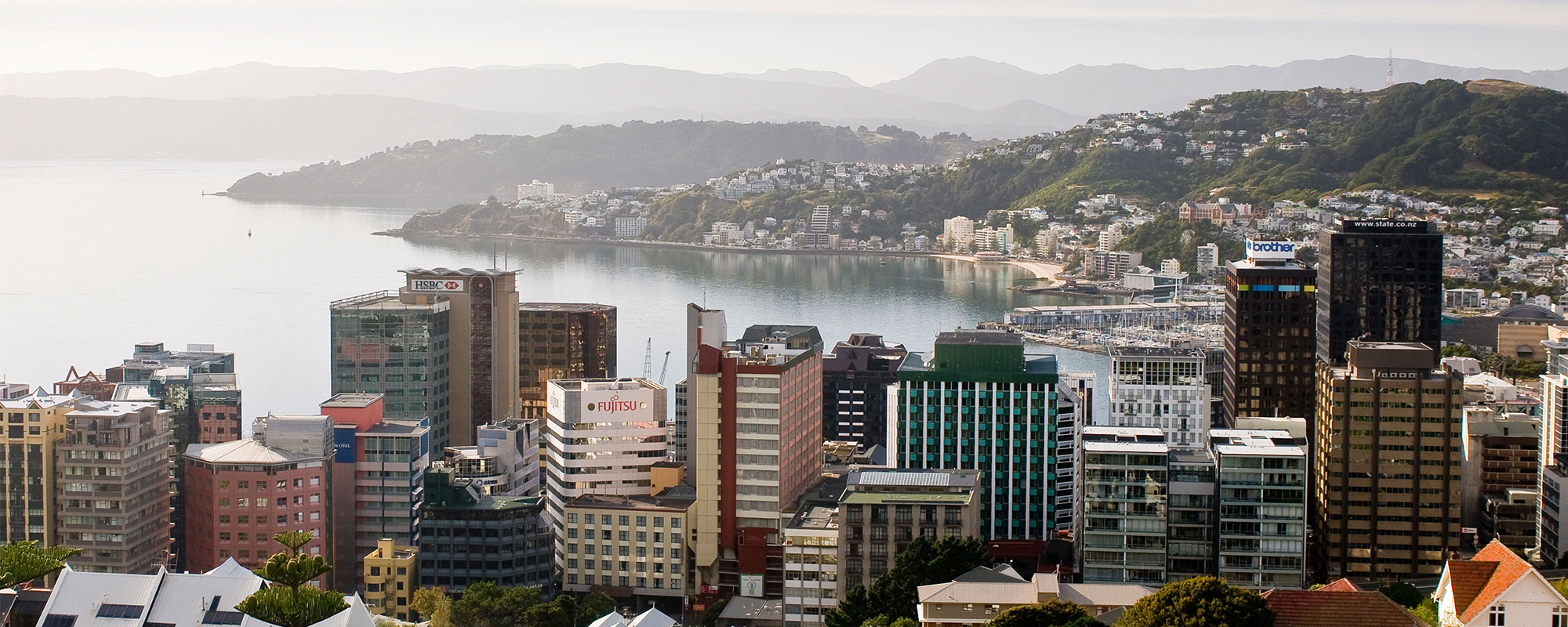 Aerial view of Wellington city