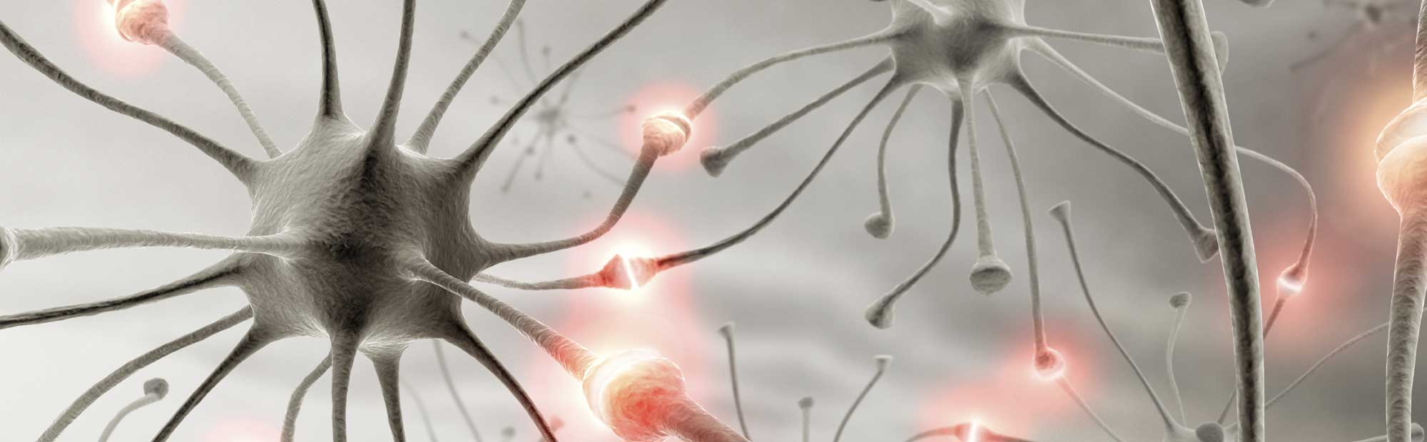 Victoria University of Wellington