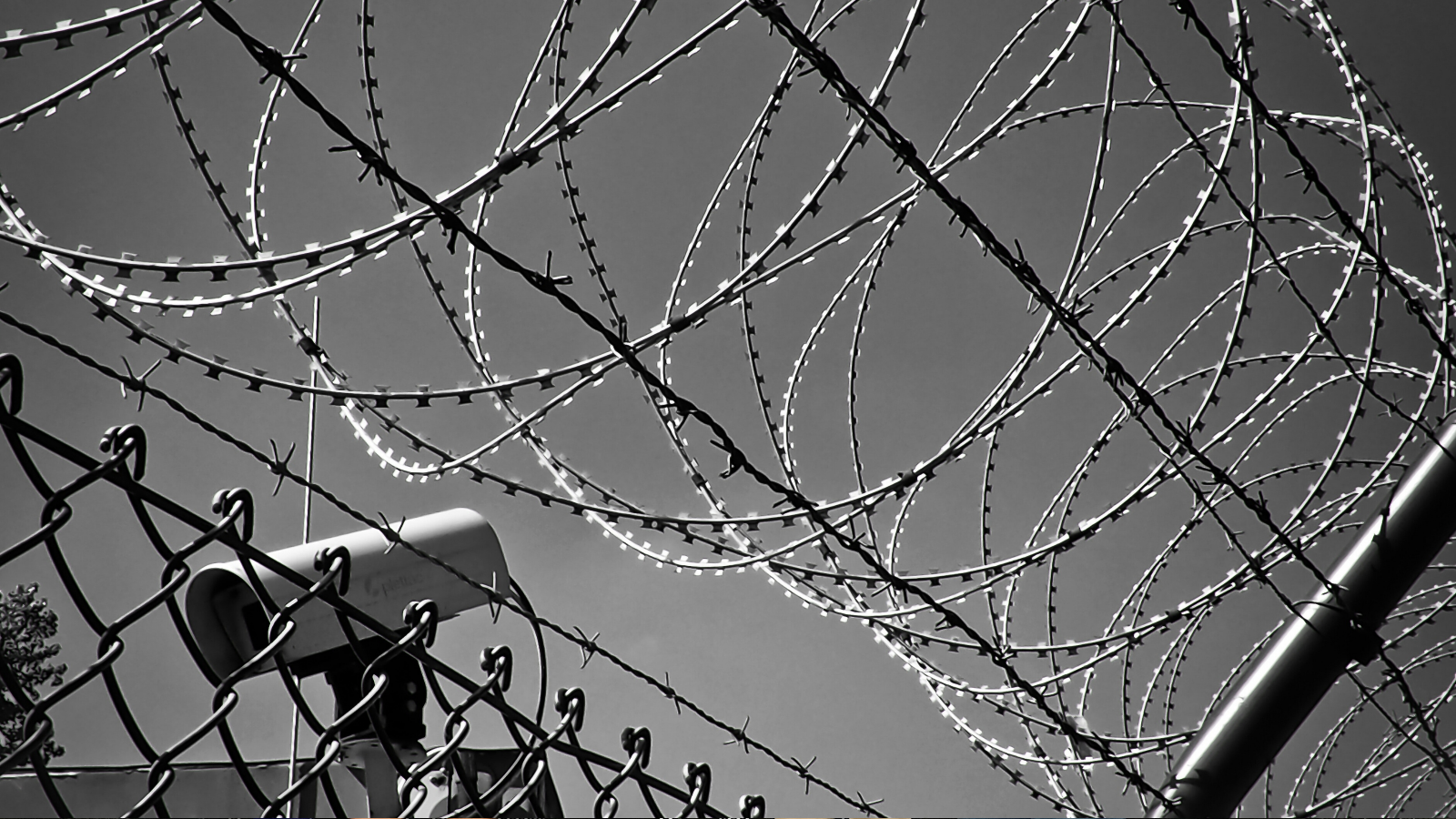 barbed wire 