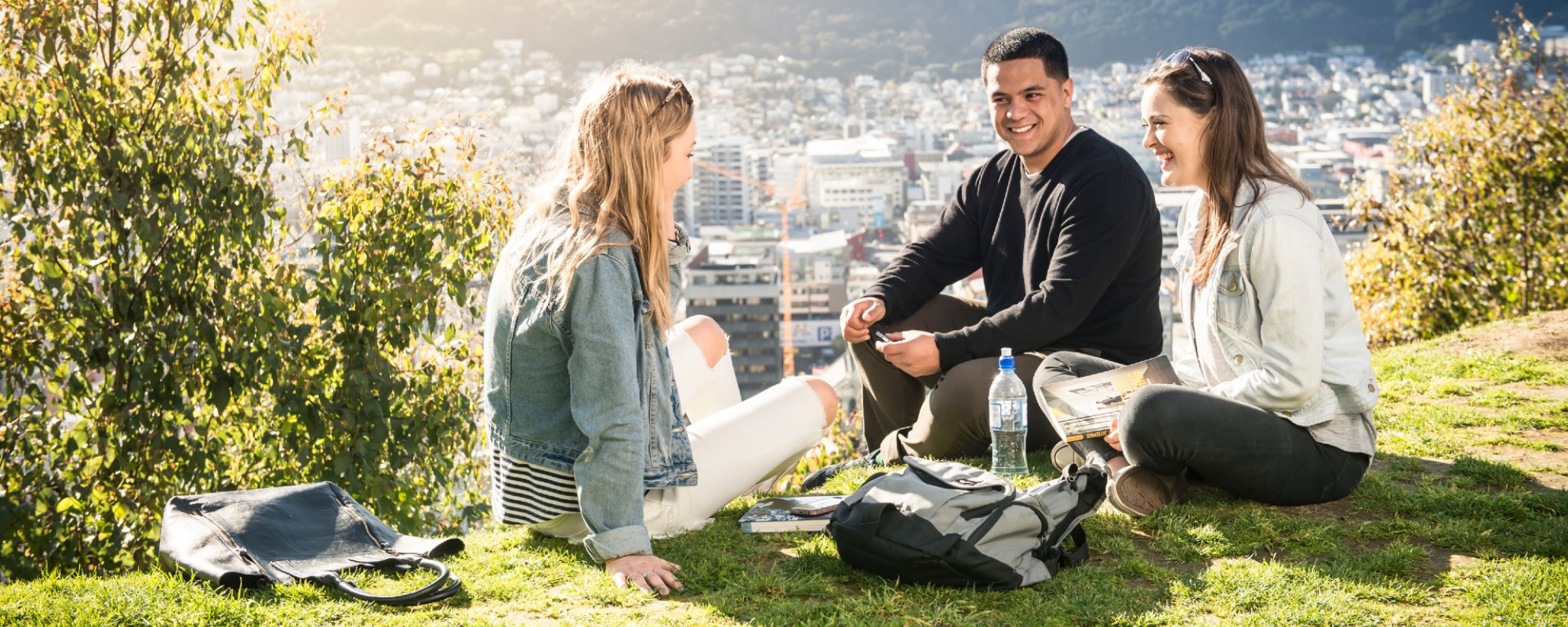 Three students sitting on a grassy hill, with Wellington city in the background.
