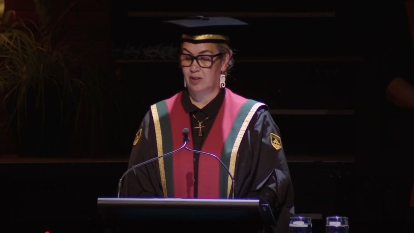 The Deputy Vice-Chancellor, Māori, speaks at the graduation ceremony.