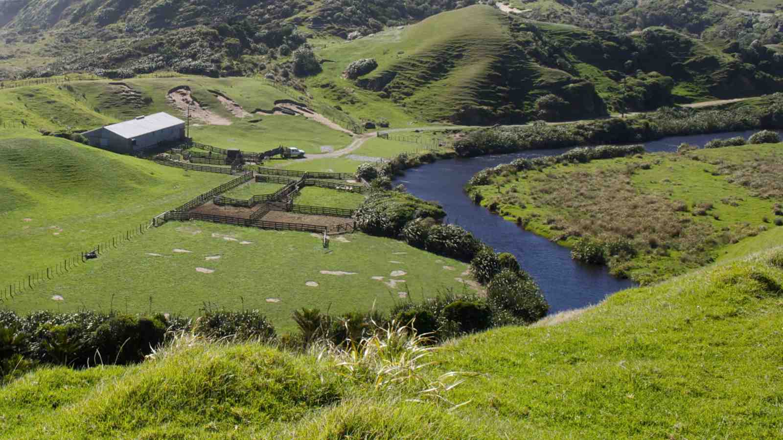 New Zealand farmland and river.