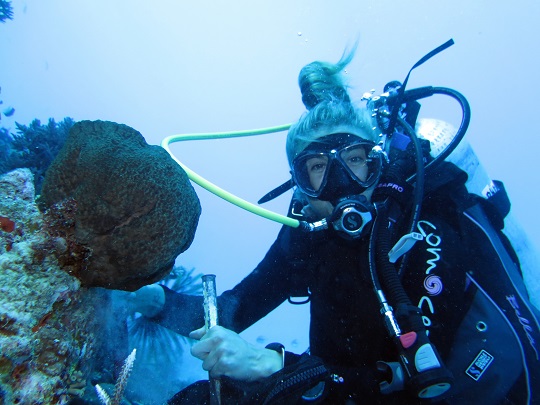Holly Bennett collects samples on the Great Barrier Reef