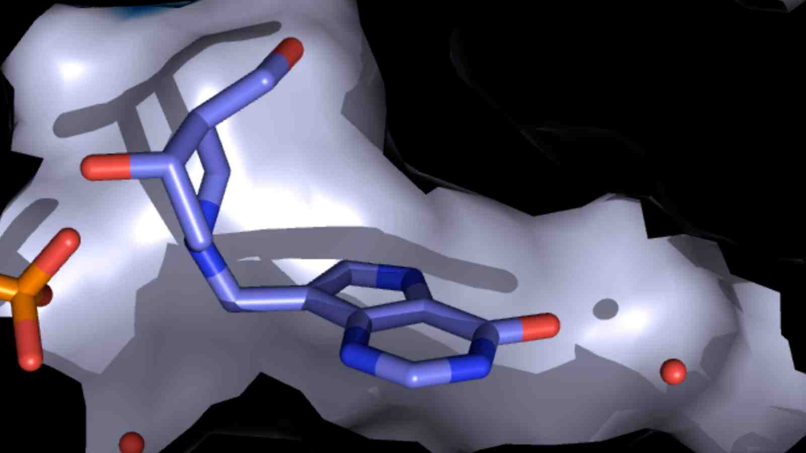 PNP in enzyme active – DADMe-Immucillin-A, modelled inside the active site of human purine nucleoside phosphorylase.