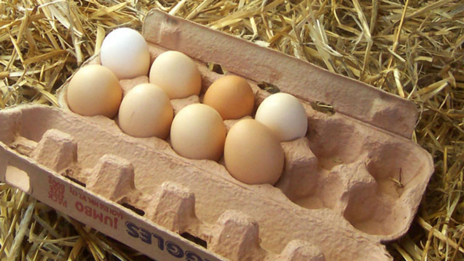 Eggs