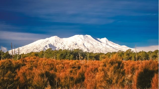 A landscape image with snow covered mountains in the background.