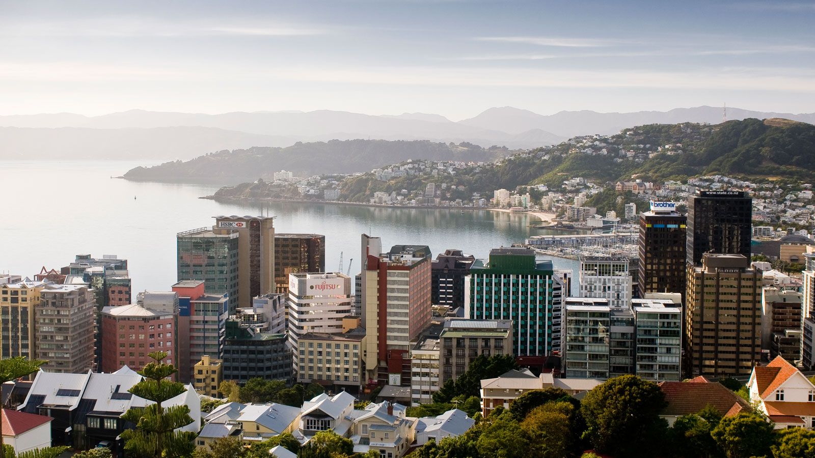 Aerial view of Wellington looking over the city and out over the water.