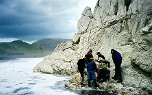 Students doing fieldwork research