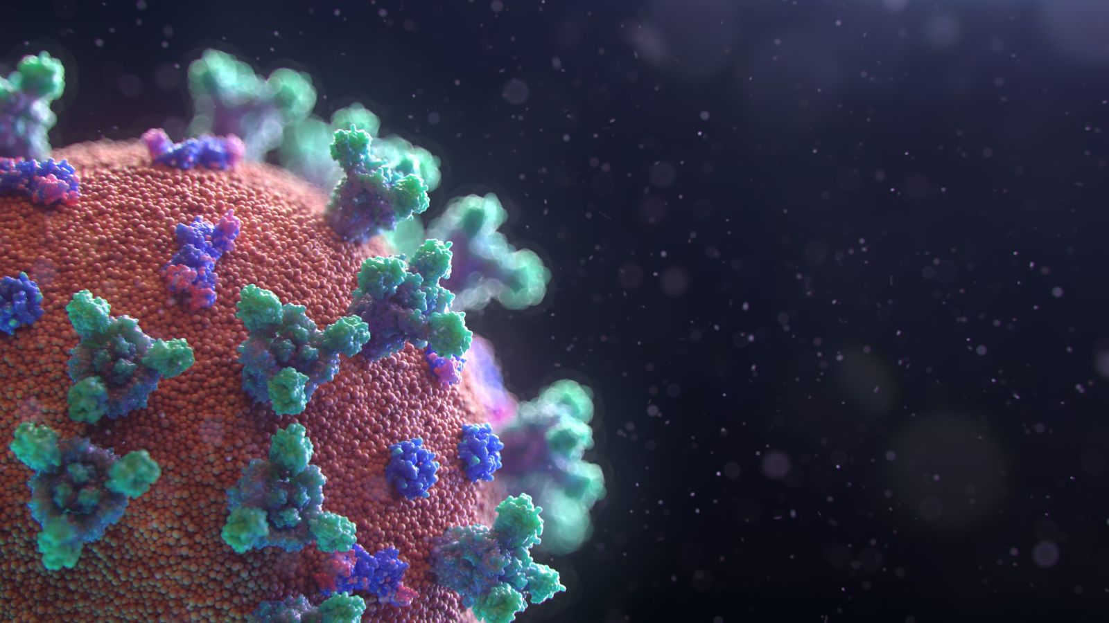 Close-up picture of a virus with colours red, blue, purple and green, and a black background – Photo credit: Fusion Medical Animation, Unsplash.