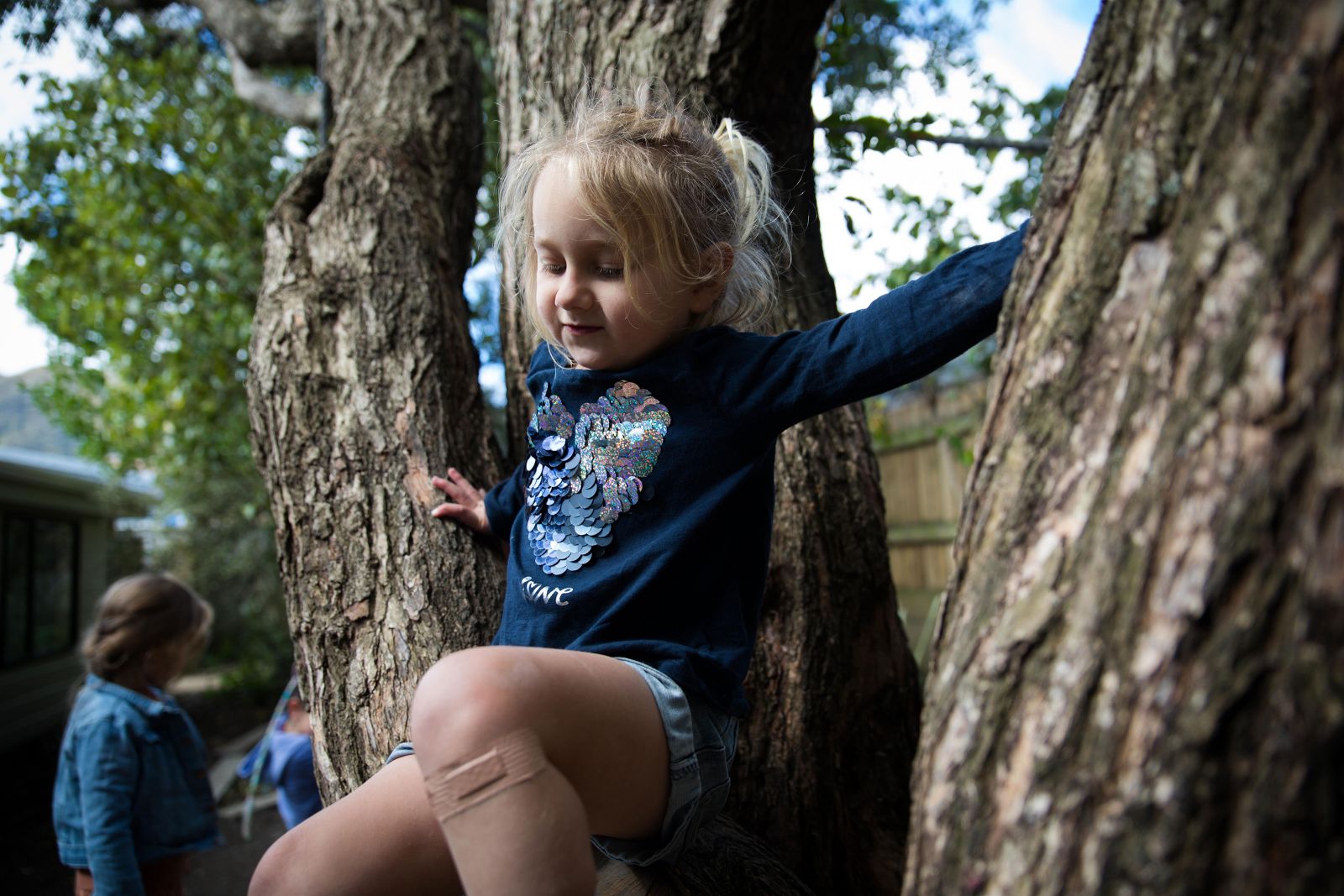 a girl climbing a tree
