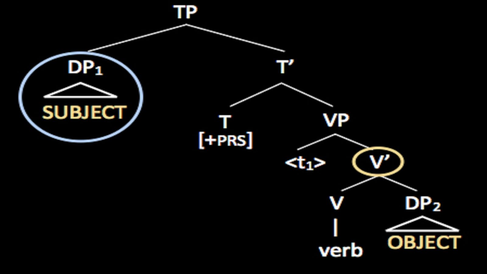 Syntax and morphology