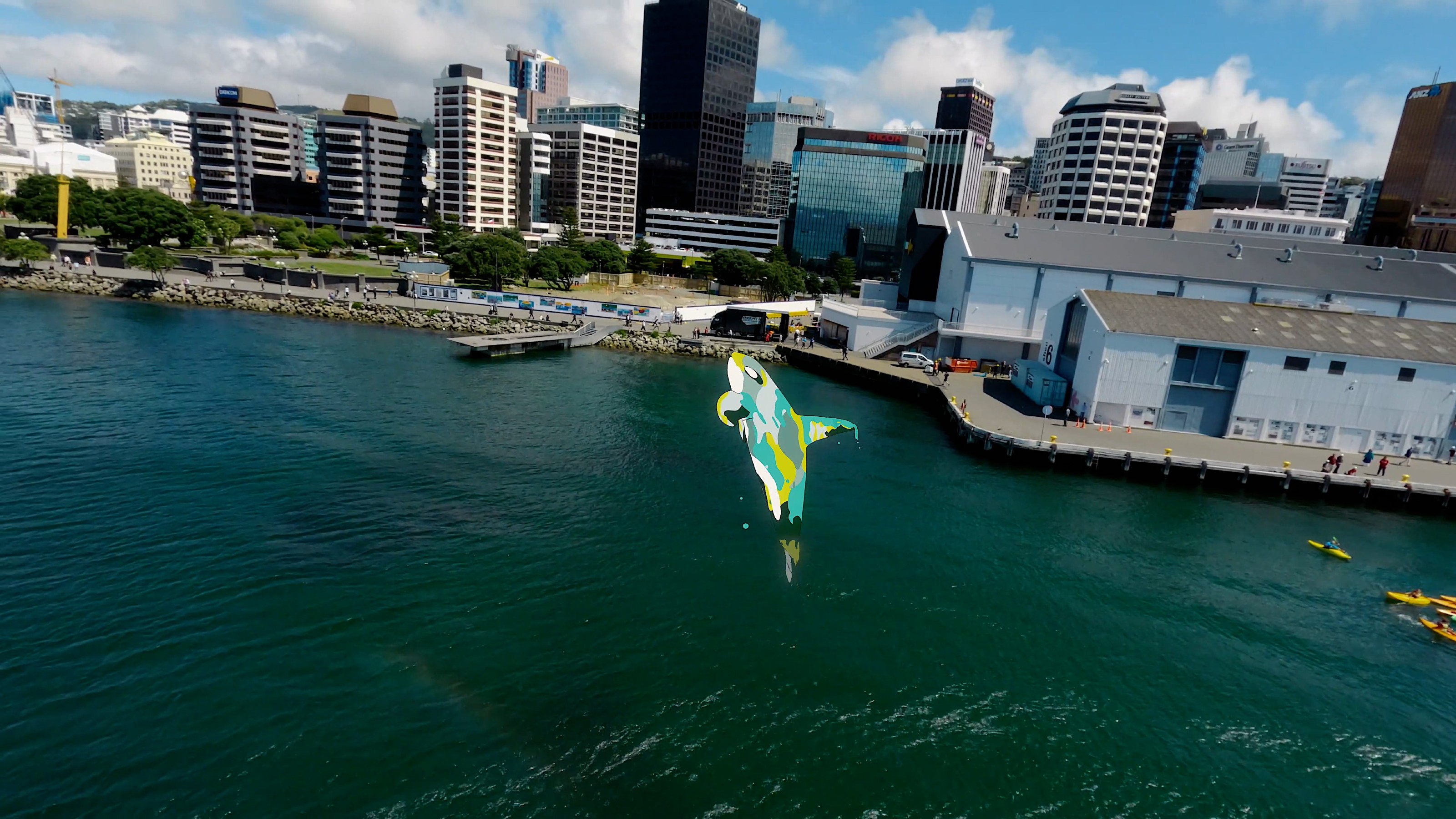 Photograph of Wellington harbour with a grey, green and white illustrated orca jumping through the water.