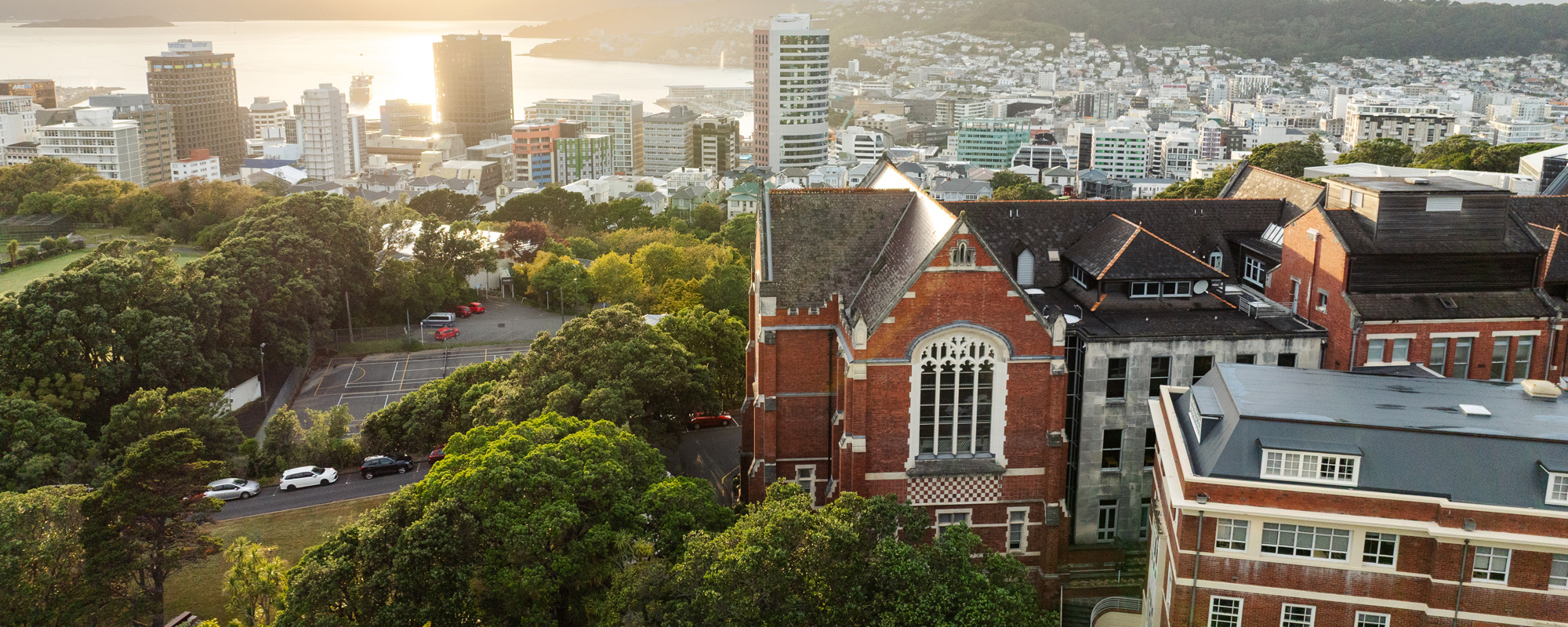 An aerial view of Kelburn campus buildings, looking out onto the city centre buildings and waterfront