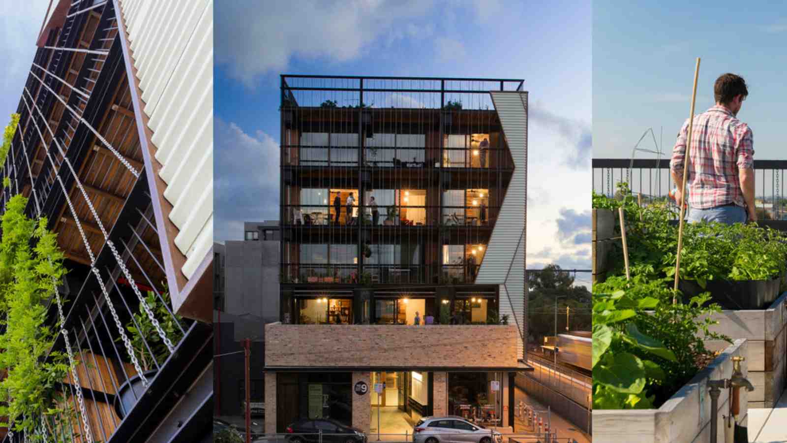 Image of the Commons, an example of collective housing in Melbourne. The building is on top of a shop, four stories high, with greenery on the veranders, plants climing up the facade of the building and a rooftop garden.